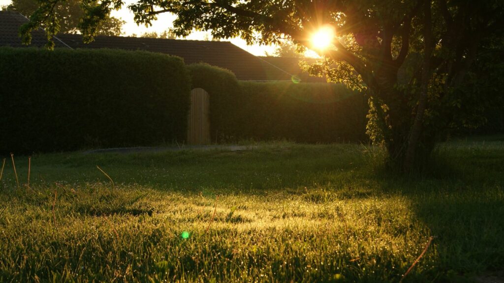 family home and garden